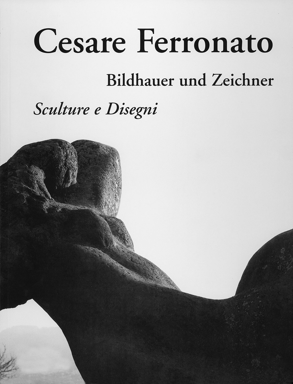 Cesare Ferronato das Buch